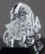 Picture of Crystal Bull Award