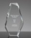 Picture of Crystal Dynasty Award