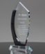 Picture of Crystal Curve Award