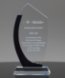 Picture of Crystal Curve Award