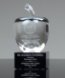 Picture of Classic Crystal Apple Award