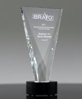 Picture of Crystal Triumph Award