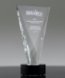 Picture of Crystal Triumph Award