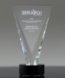 Picture of Crystal Triumph Award