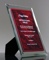 Picture of Synthesis Award Plaque