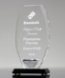 Picture of Diamond Shield Glass Award