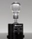 Picture of Brilliant Light Bulb Award