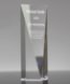 Picture of Crystal Goldwell Award