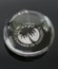 Picture of Magnify Crystal Paperweight