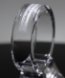 Picture of Crystal Halo Award