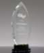 Picture of Apex Flame Crystal Award