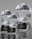 Picture of Globe Crystal Award