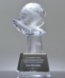 Picture of Globe In Hand Crystal Award