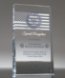 Picture of Special Recognition Military Award Wedge