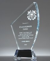 Picture of Military Appreciation Trophy