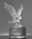 Picture of Leadership Eagle Award