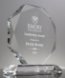 Picture of Clear Crystal Octagon Award