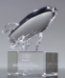 Picture of Crystal Rocket Ship Award