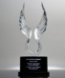 Picture of Victory Wings Crystal Award