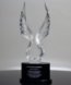 Picture of Victory Wings Crystal Award