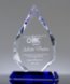 Picture of Dedicated Service Crystal Award