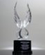 Picture of Victory Wings Crystal Award