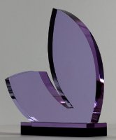 Picture of Custom Crystal Tulip Award